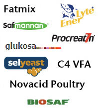 Nuestros Productos
